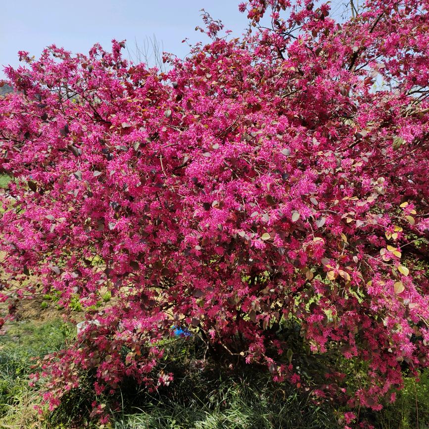 希望明天会更好(ง •̀_•́)ง加油