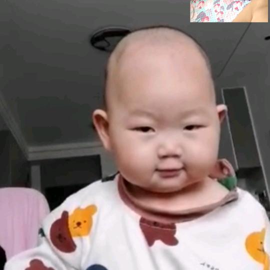 快乐仙人