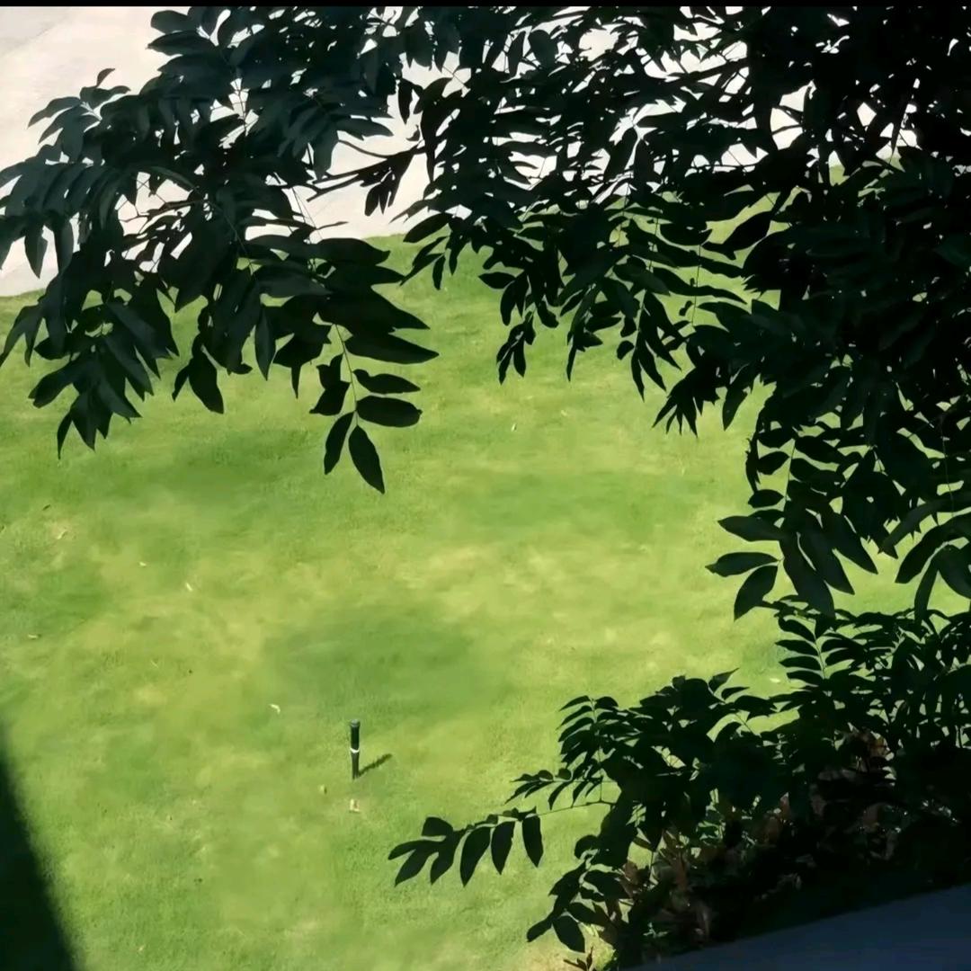 𝓙...