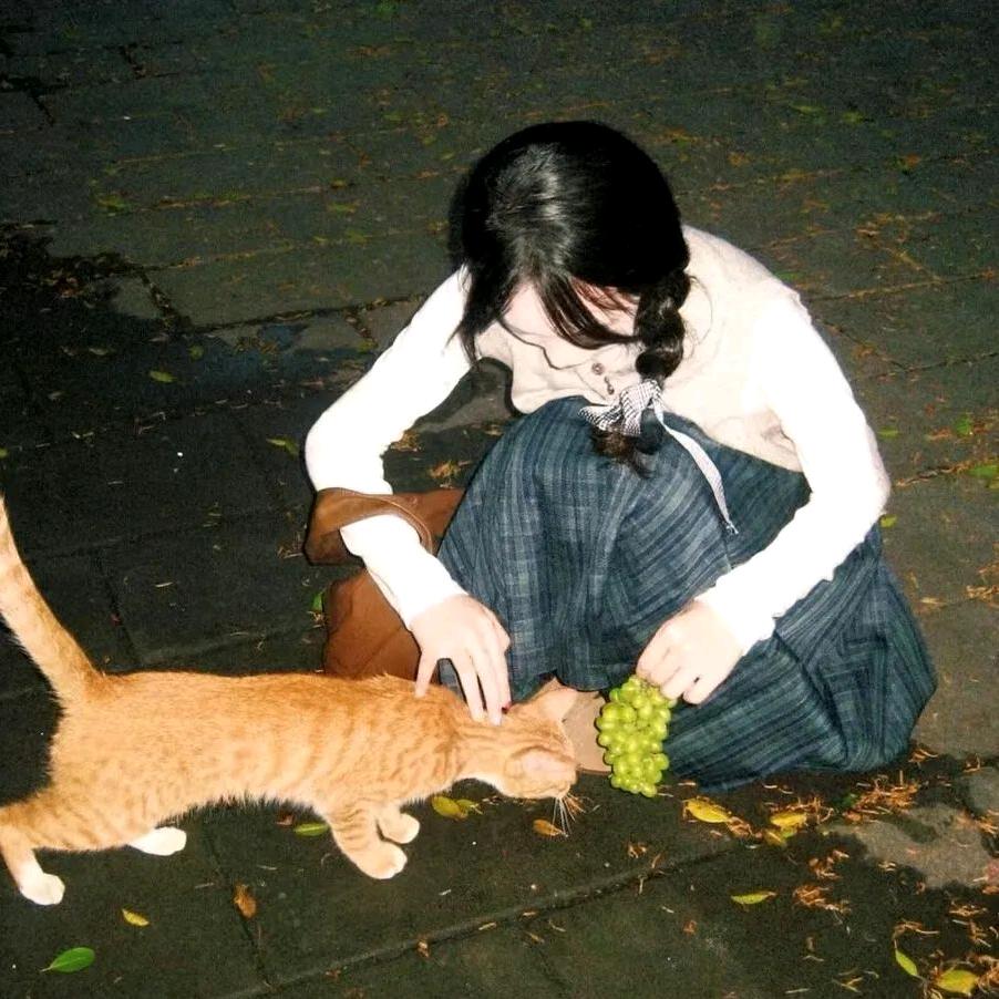 等你回眸一笑