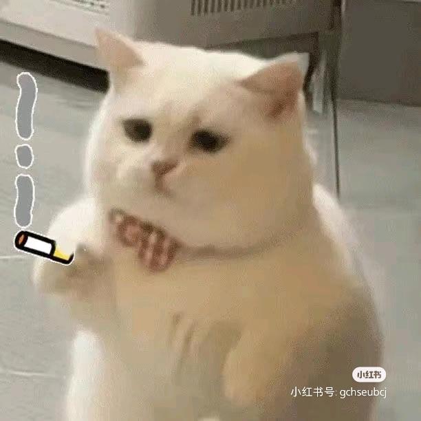 爱吃瑞士.：🍒