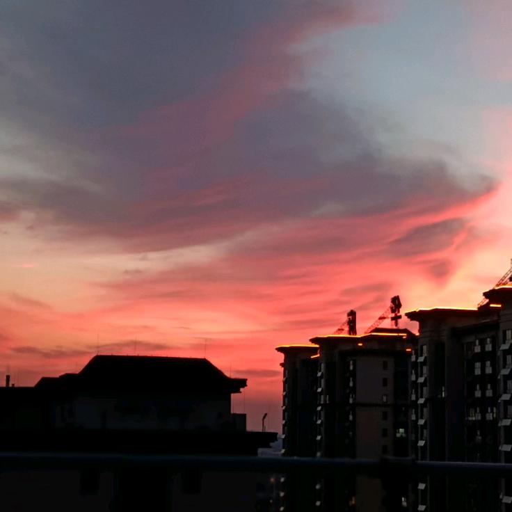 奈何清风拂杨柳