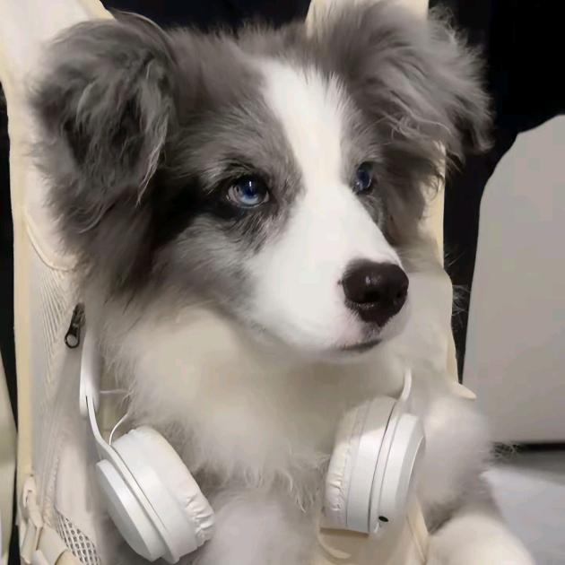 遇见即是上上谦