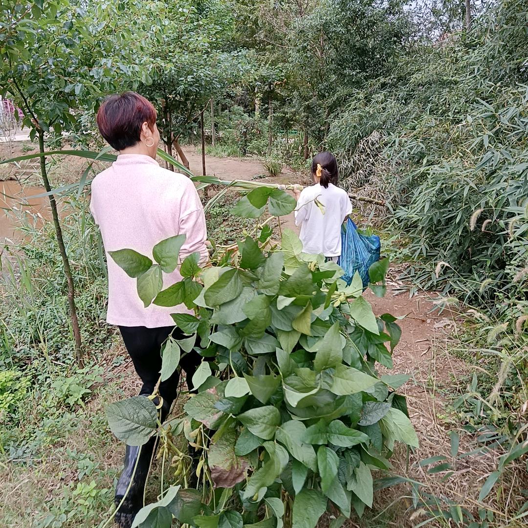 小桐桐外婆🍎