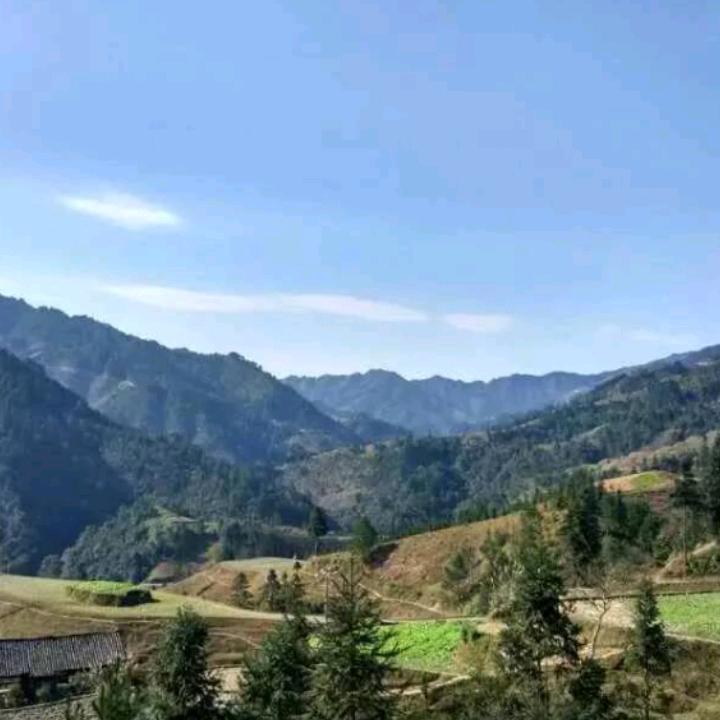 小杨不要不要信别人的话