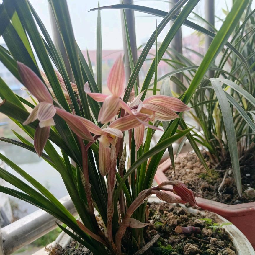 用户6565015176054诚信