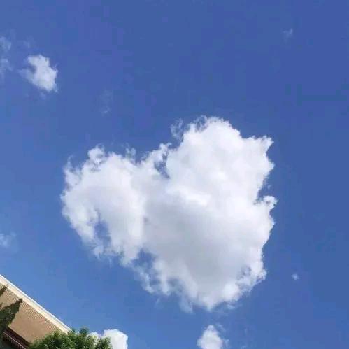 梦想(●'◡'●)爱❤️