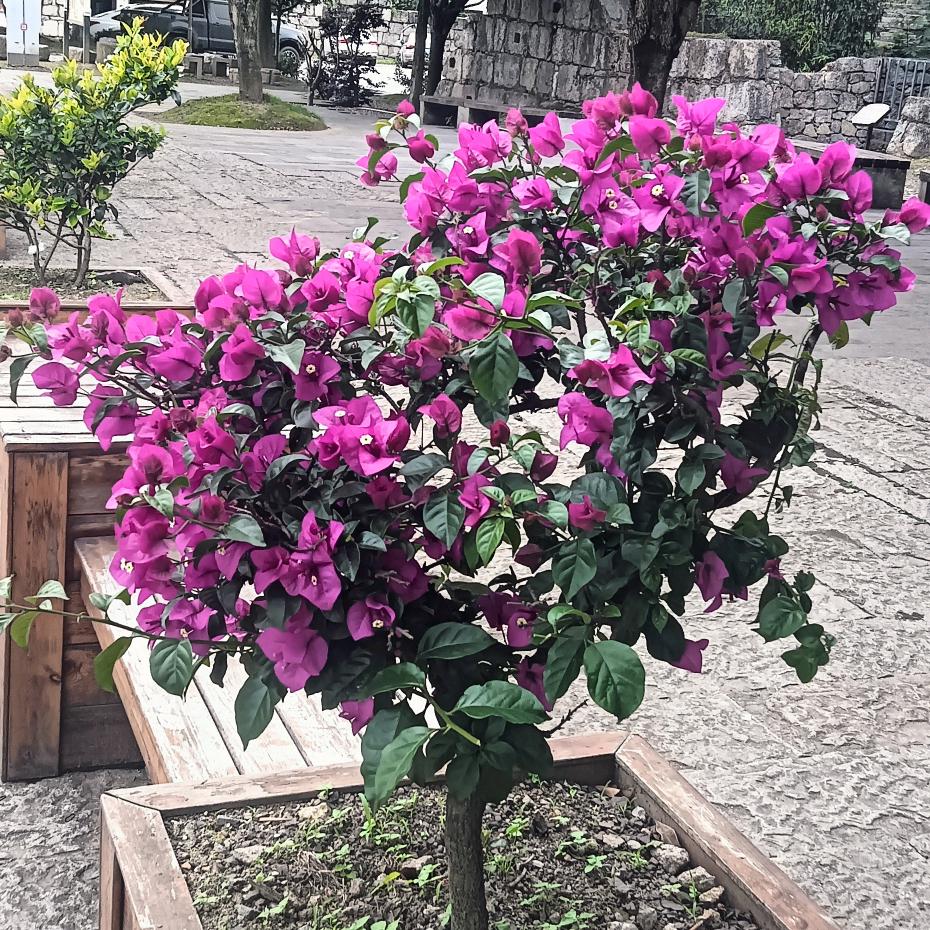 要电焊工老板请联系有证