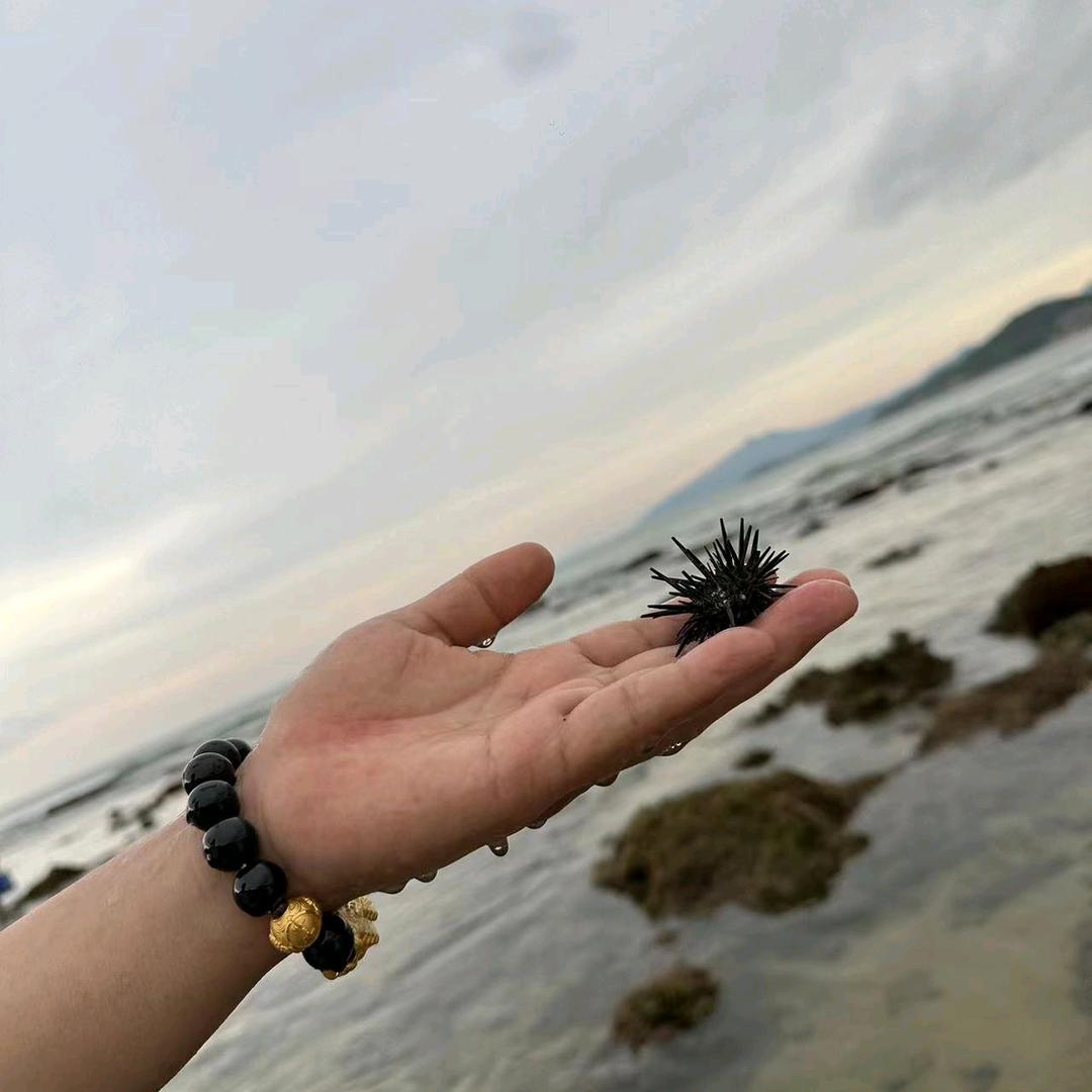 露露