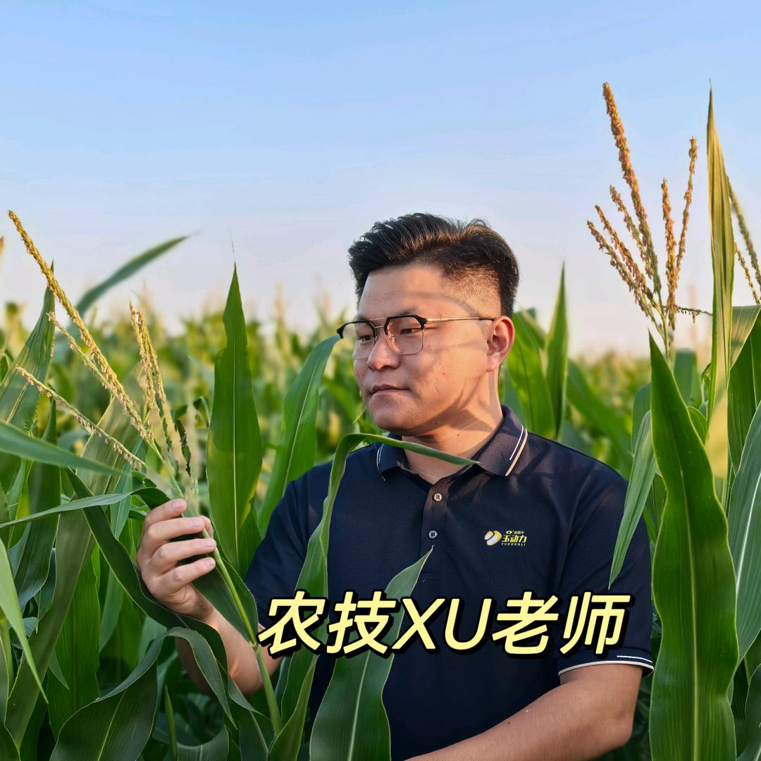 徐老师讲植保
