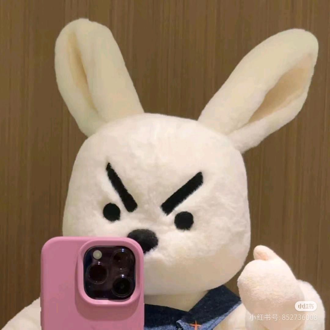 迪迪宝砸