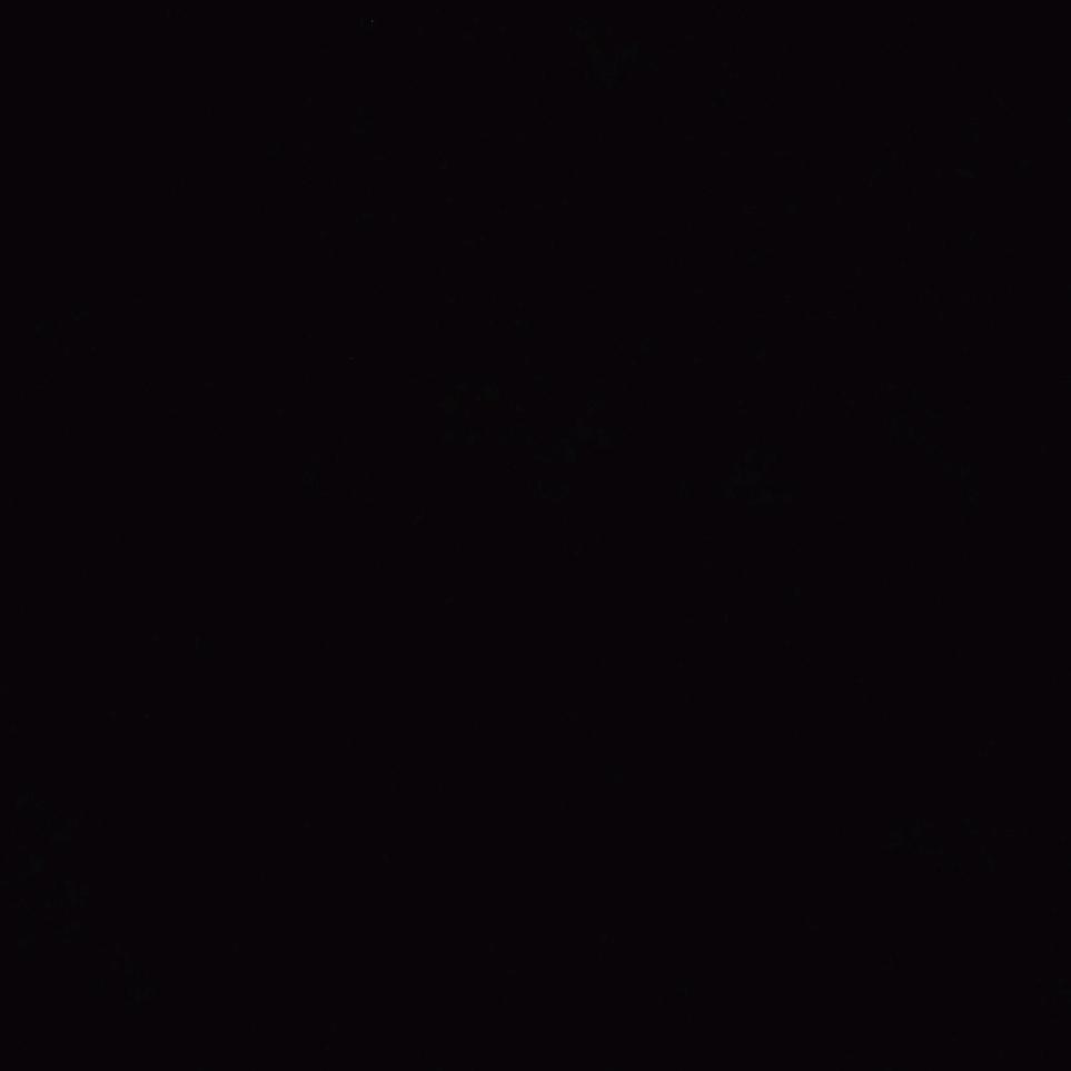 凌晨5.20分