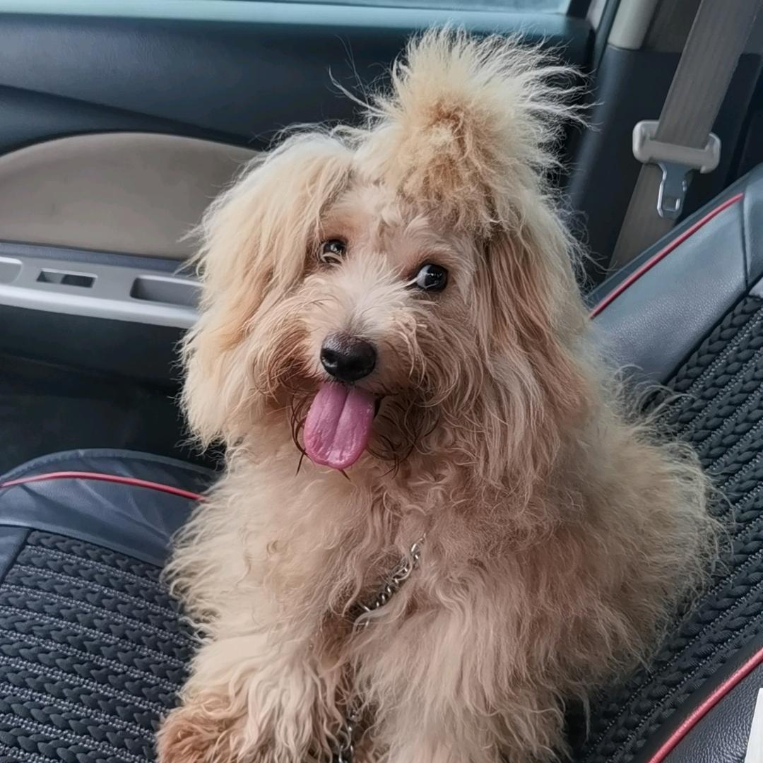 $初见@lU喜欢可以送你