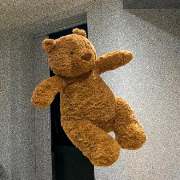 🐻
