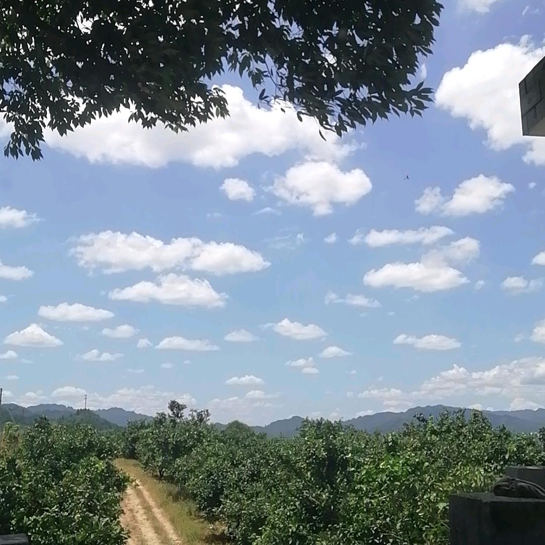 欧阳小春～贝壳德佑