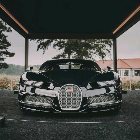 【我】爱拍车