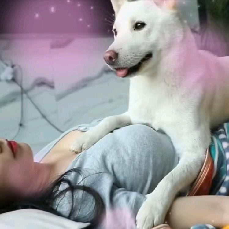 大黄与我
