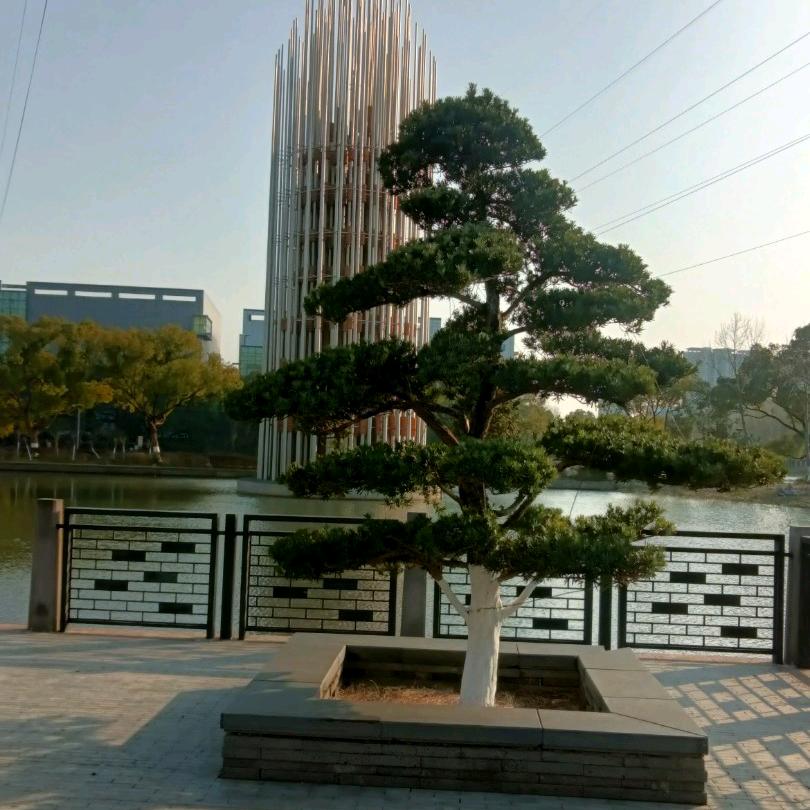 ❤❤诚信赢天下❤❤