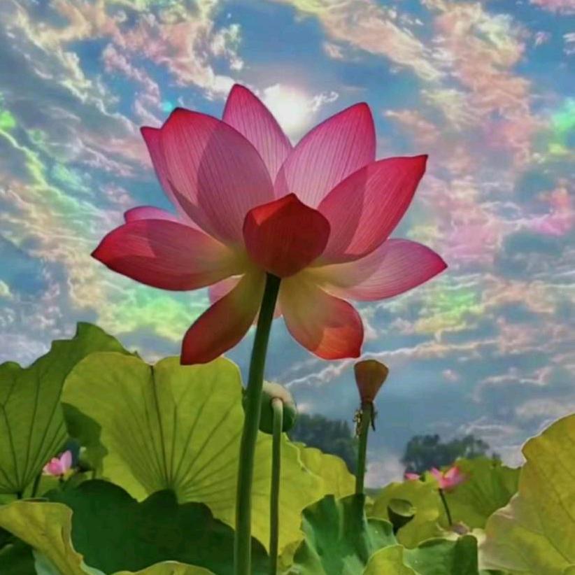 新能量