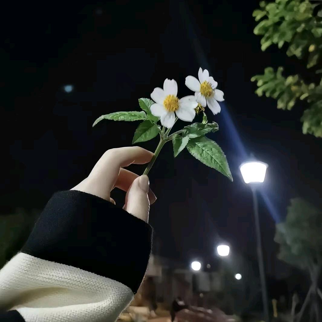 💕哲♚！♡汐♛ℒℴѵℯۣۖ¹³¹⁴