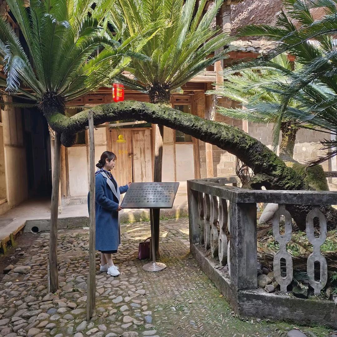 萍水相逢