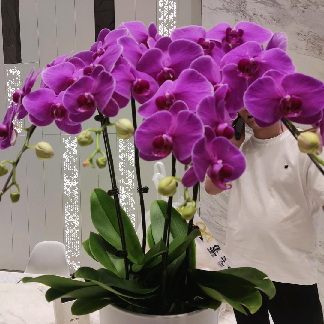春暖花开