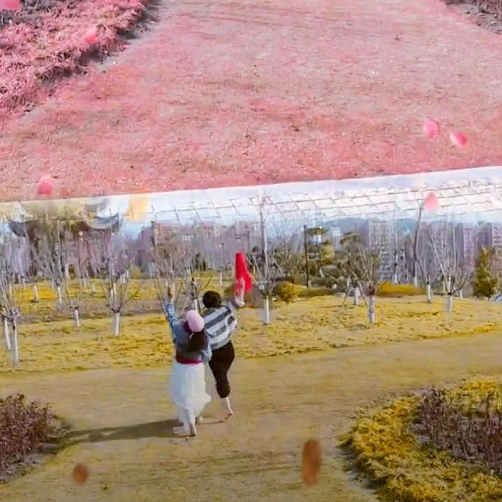 草帽姐