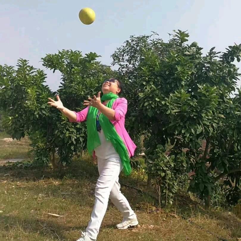 大慧姐