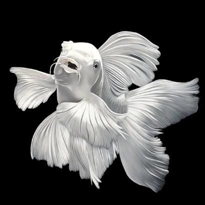 渔小二养蝴蝶鲤