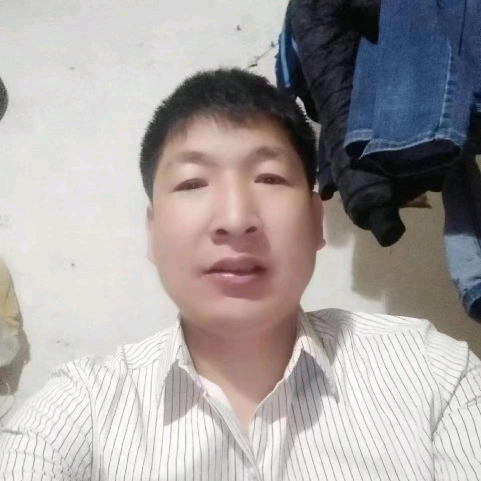 小马菜家马