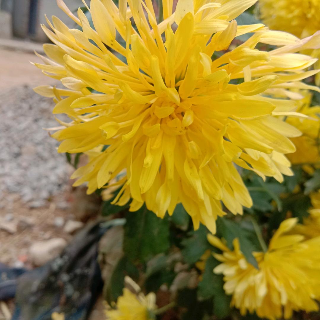 一穷二白三干净