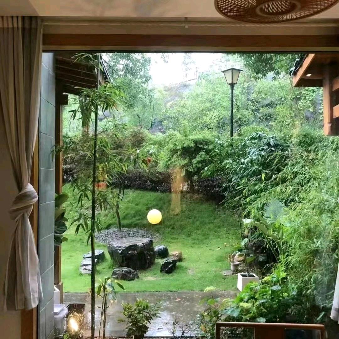木总呀
