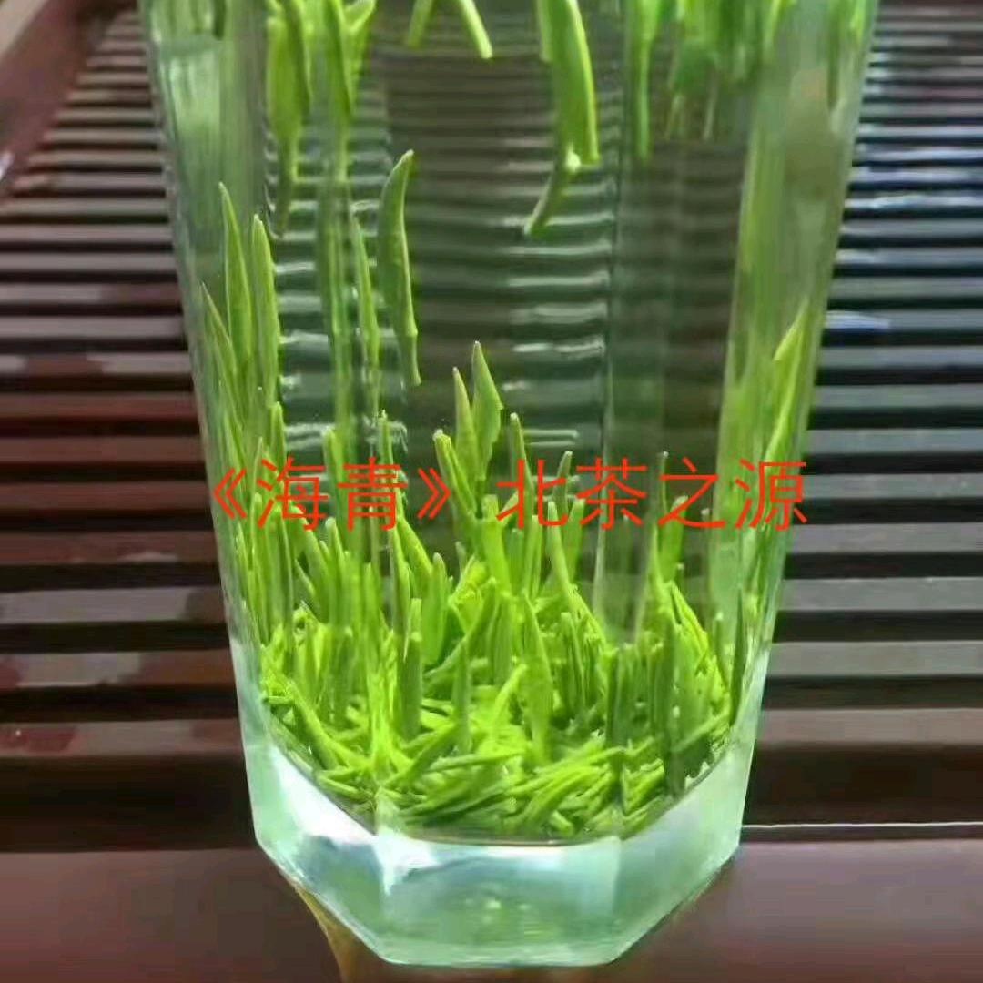 碧缘春【茶厂】大量批发零售加工社