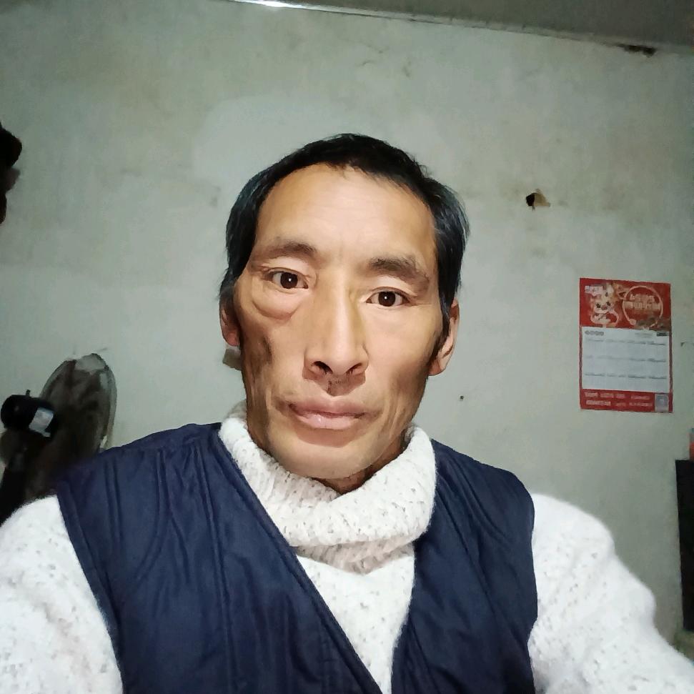 相看两不厌