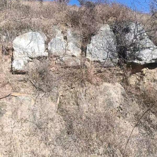 一粒尘土