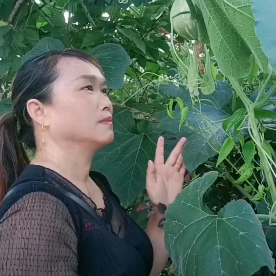 好运来