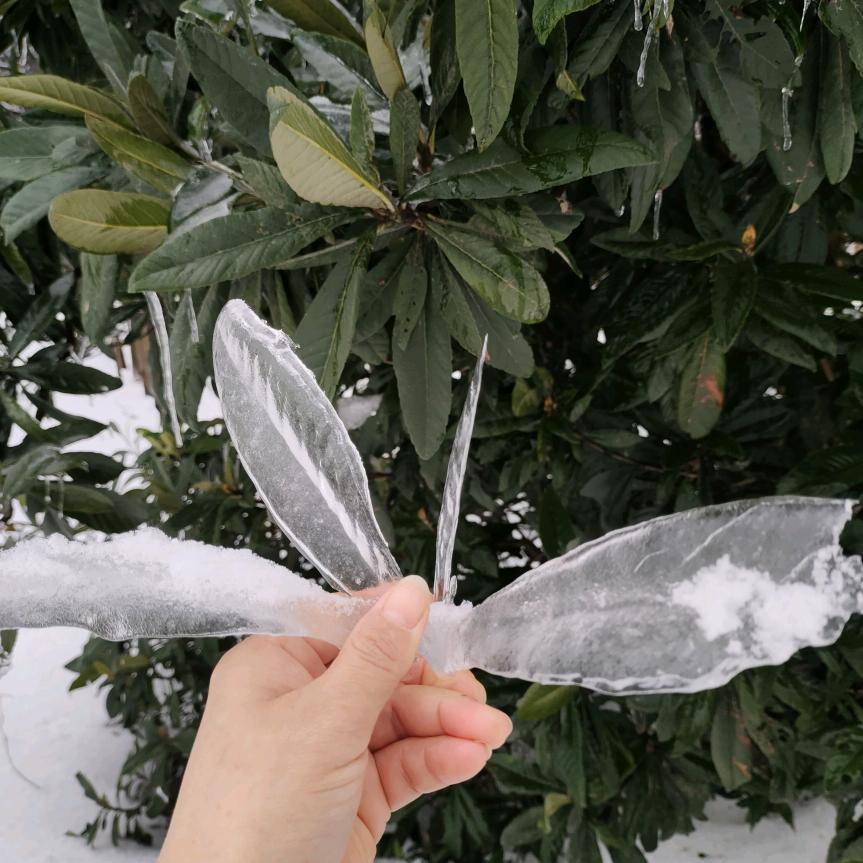 云雾散尽