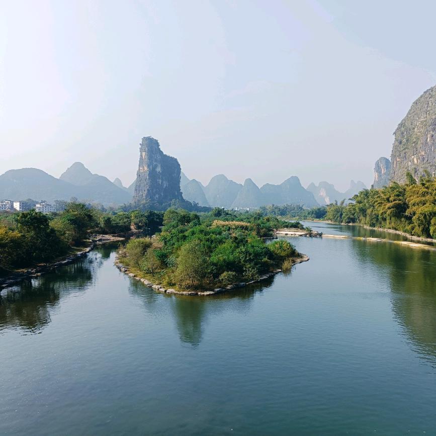 果果老树桩