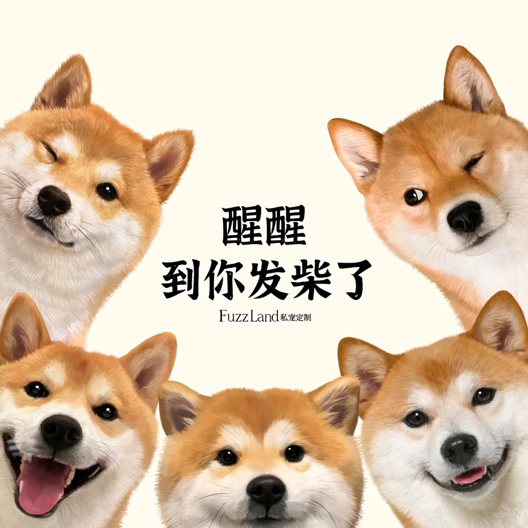 柿柿如意