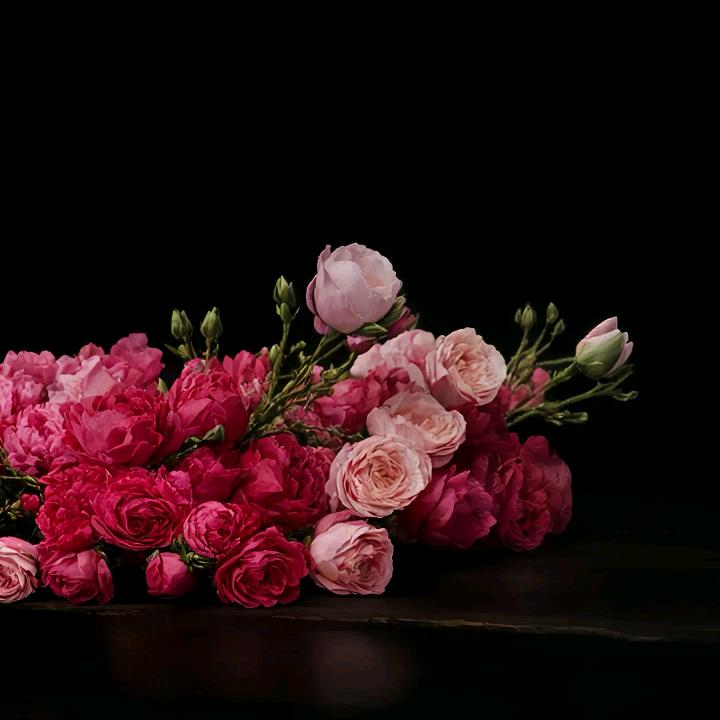 🌸⁰⁶.₁₆花儿℘࿐