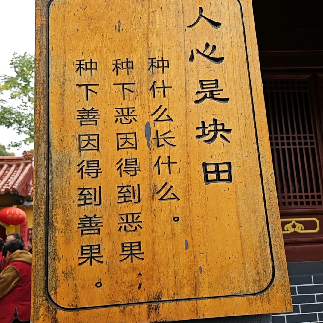 扶摇直上