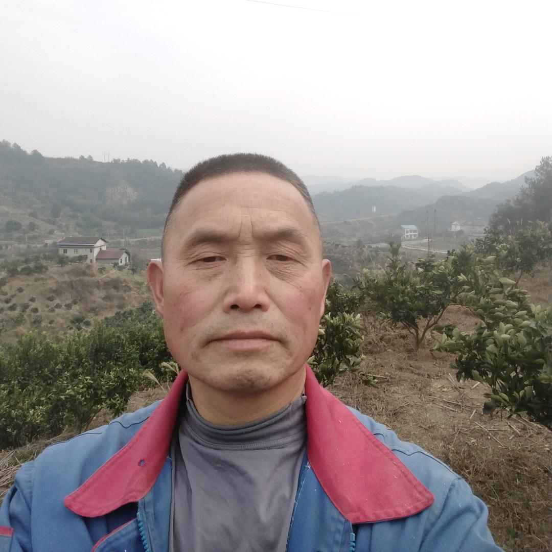 泉哥