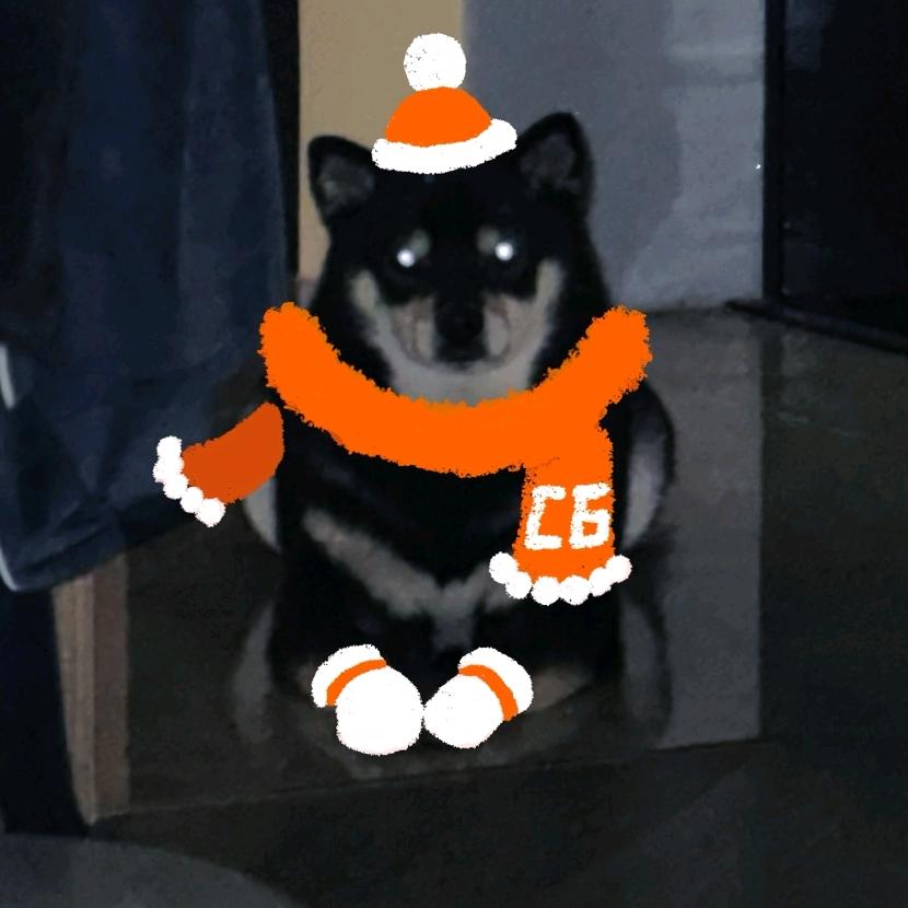 小雯同学（不止卖升仕版）