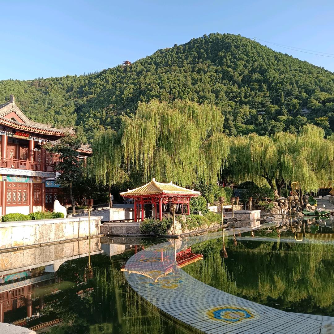 孙连红，涨粉丝