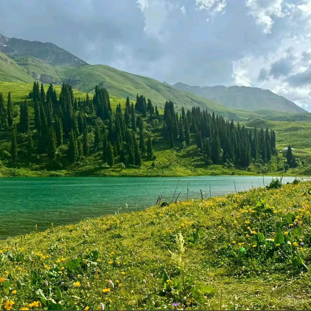 幸福的一家人_254477254