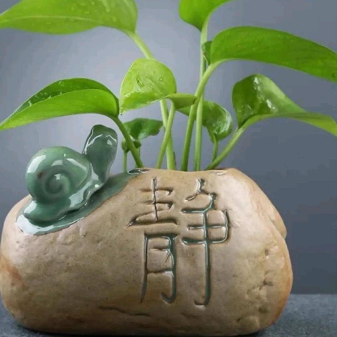 天道酬勤