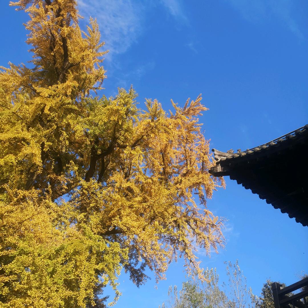 平安喜乐