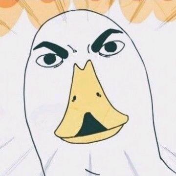 再也没有你的春天....就要来了头像