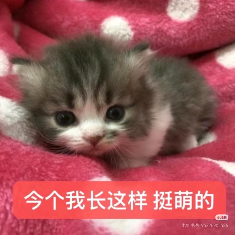 阿楠楠楠