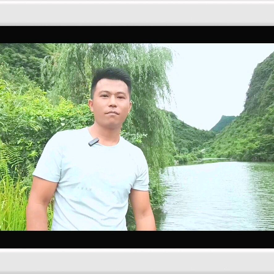 一品之光